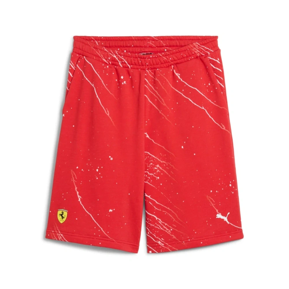 Pánské kraťasy Formule 1