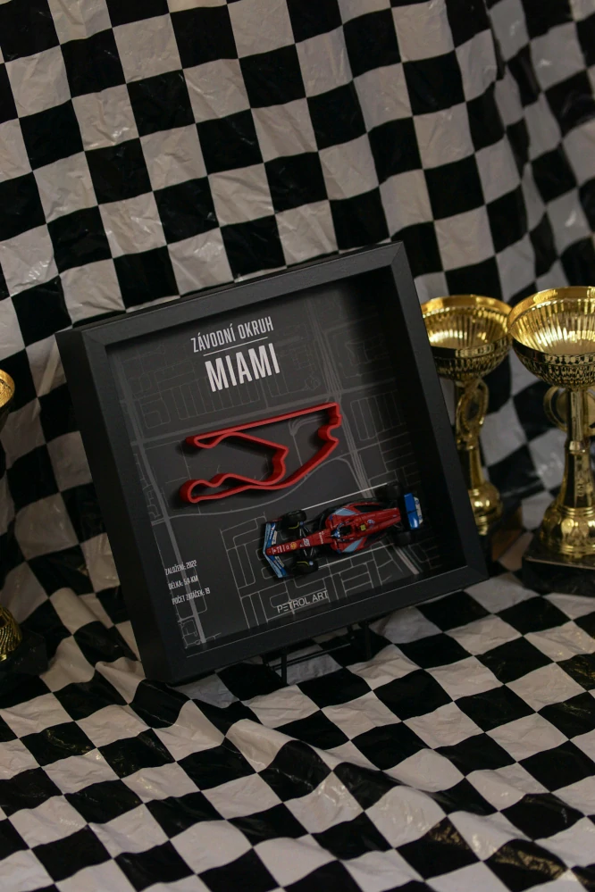3D obraz PETROL ART - Carlos Sainz - Miami