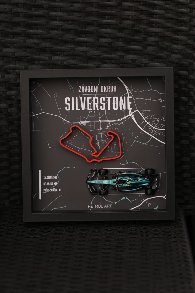 3D obraz PETROL ART - Fernando Alonso - Silverstone