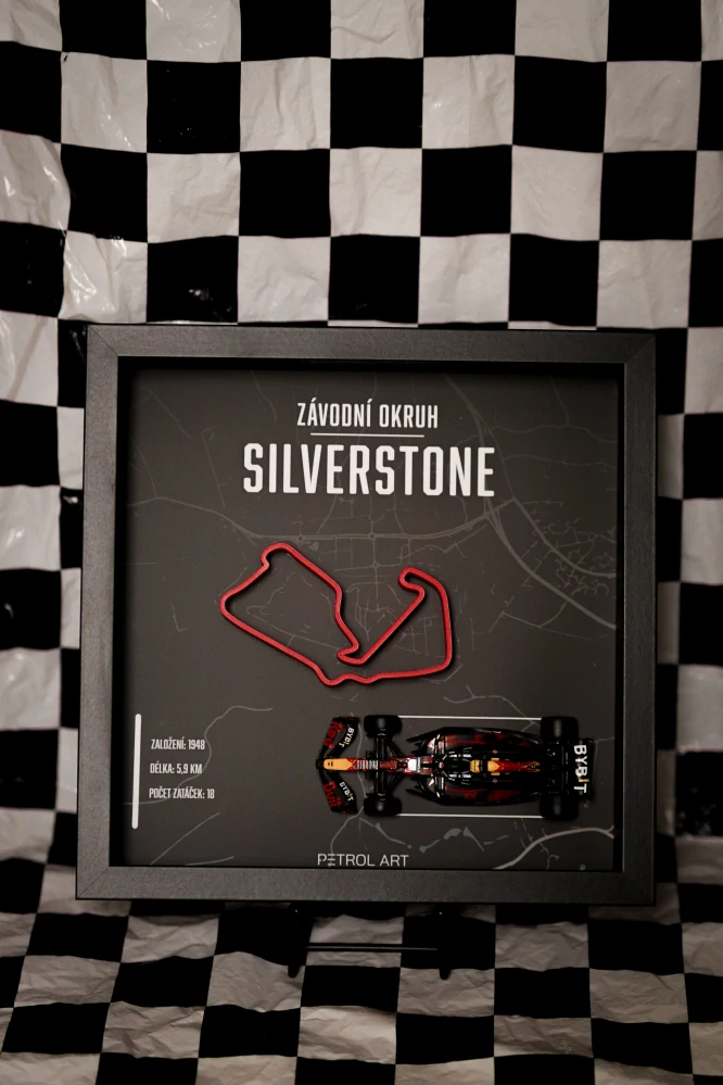 3D obraz PETROL ART - Max Verstappen - Silverstone