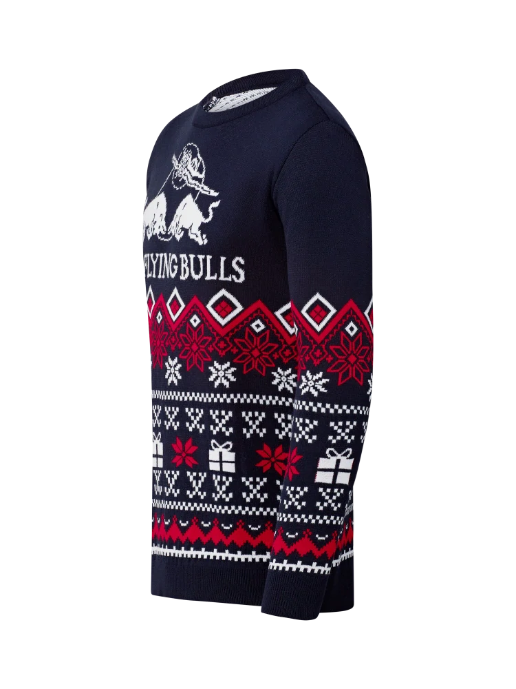 Zimní svetr The Flying Bulls - Winter edition - XXL
